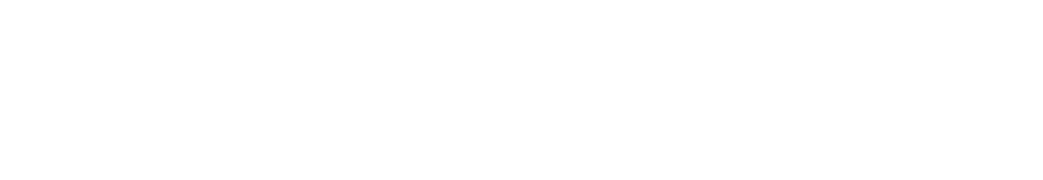 SinceVision.